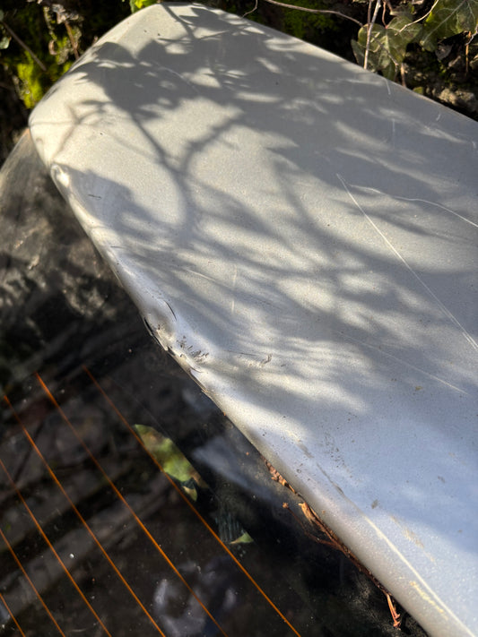 Hayon Dacia Sandero Stepway