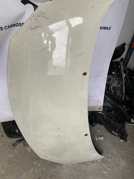 Capot Renault Twingo 2
