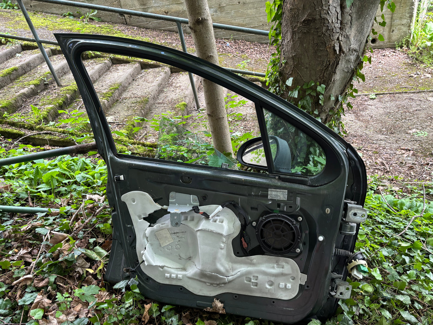 Porte avant gauche Peugeot 207