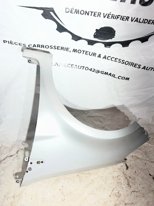 Aile avant gauche Clio 3 (195)