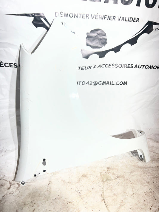 Aile avant droite Clio 3 (195)