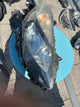 Phare avant droit Renault Clio 3 phase 2 Fond noir