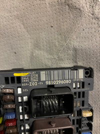 BSM Z02 9810296080 PSA C4 2 / 508 / 308
