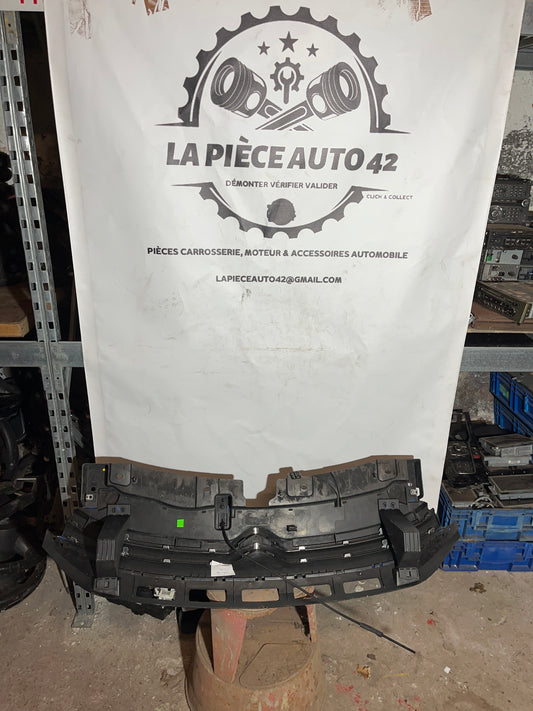 Calandre Citroen C3 3