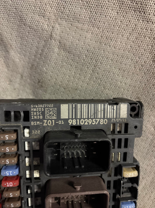 BSM Z01 9810295780 PSA C4 / 308