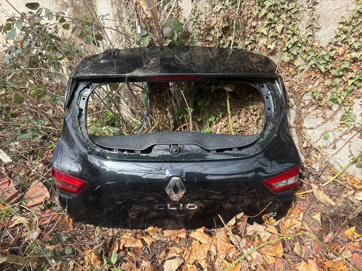 Hayon clio 4