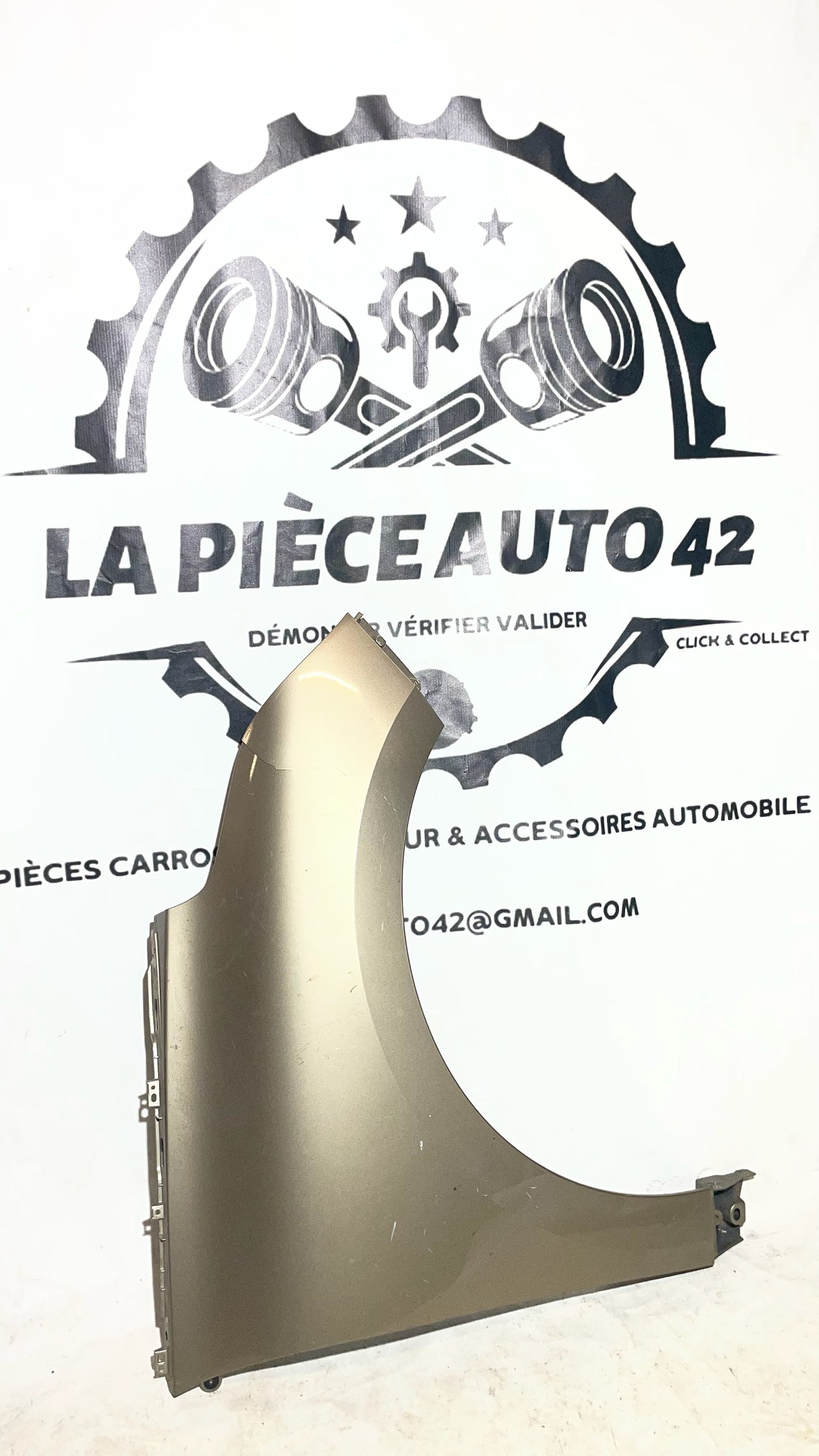 Aile avant droite Renault Scenic 4 beige