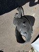 Pare boue avant droit Seat Ibiza 5