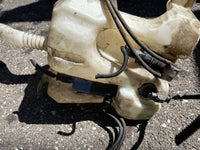 Réservoir lave glace + pompe Peugeot 3008 1 / 5008 1