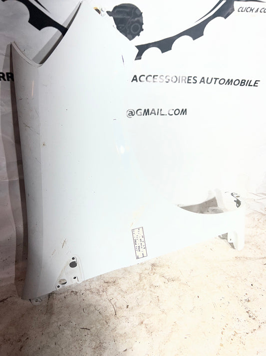 Aile avant droite Clio 3 (185)