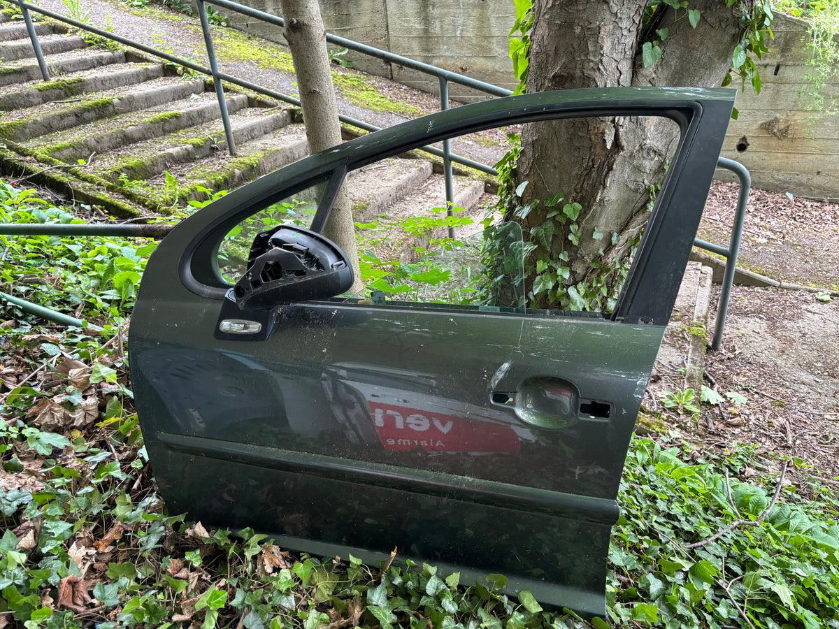 Porte avant gauche
